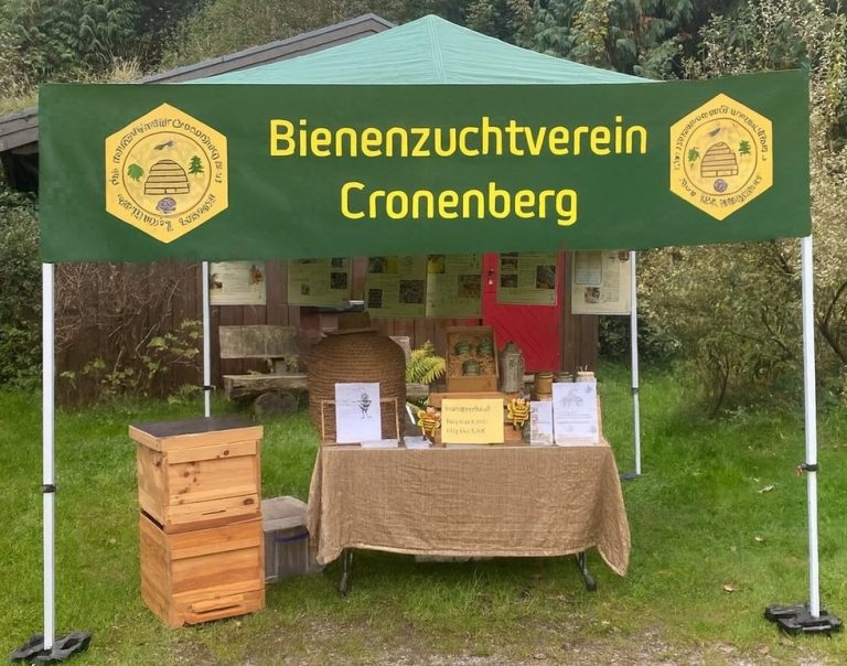 Veranstaltungen 2025