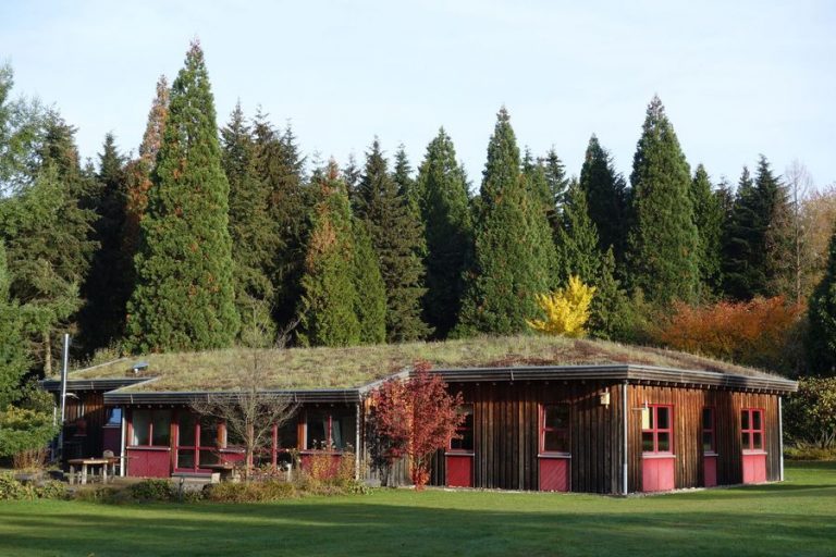 Honiglehrgang mit Sachkundenachweis