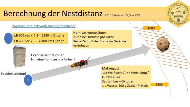 Berechnung der Nestdistanz a. Hornisse